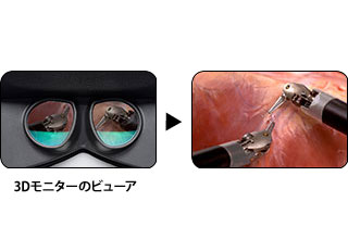 3D&10倍拡大映像で、体の中までくっきり見える！