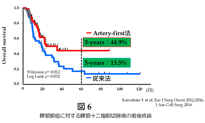 胆道癌に対する系統的腸間膜切除術